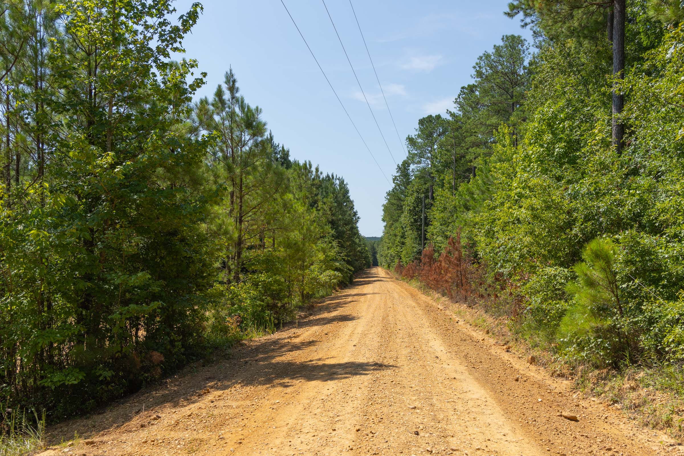 Olive Hill Tract 9 photo 8