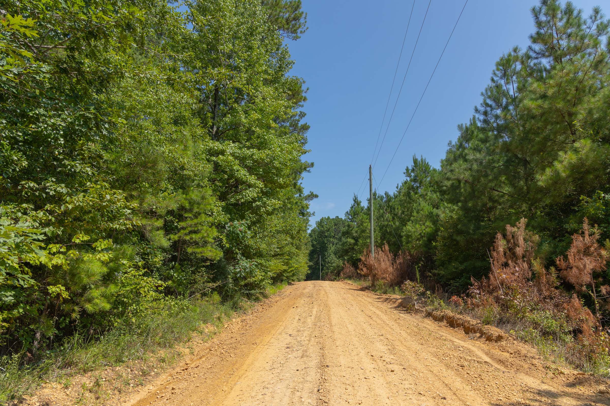 Olive Hill Tract 9 photo 3