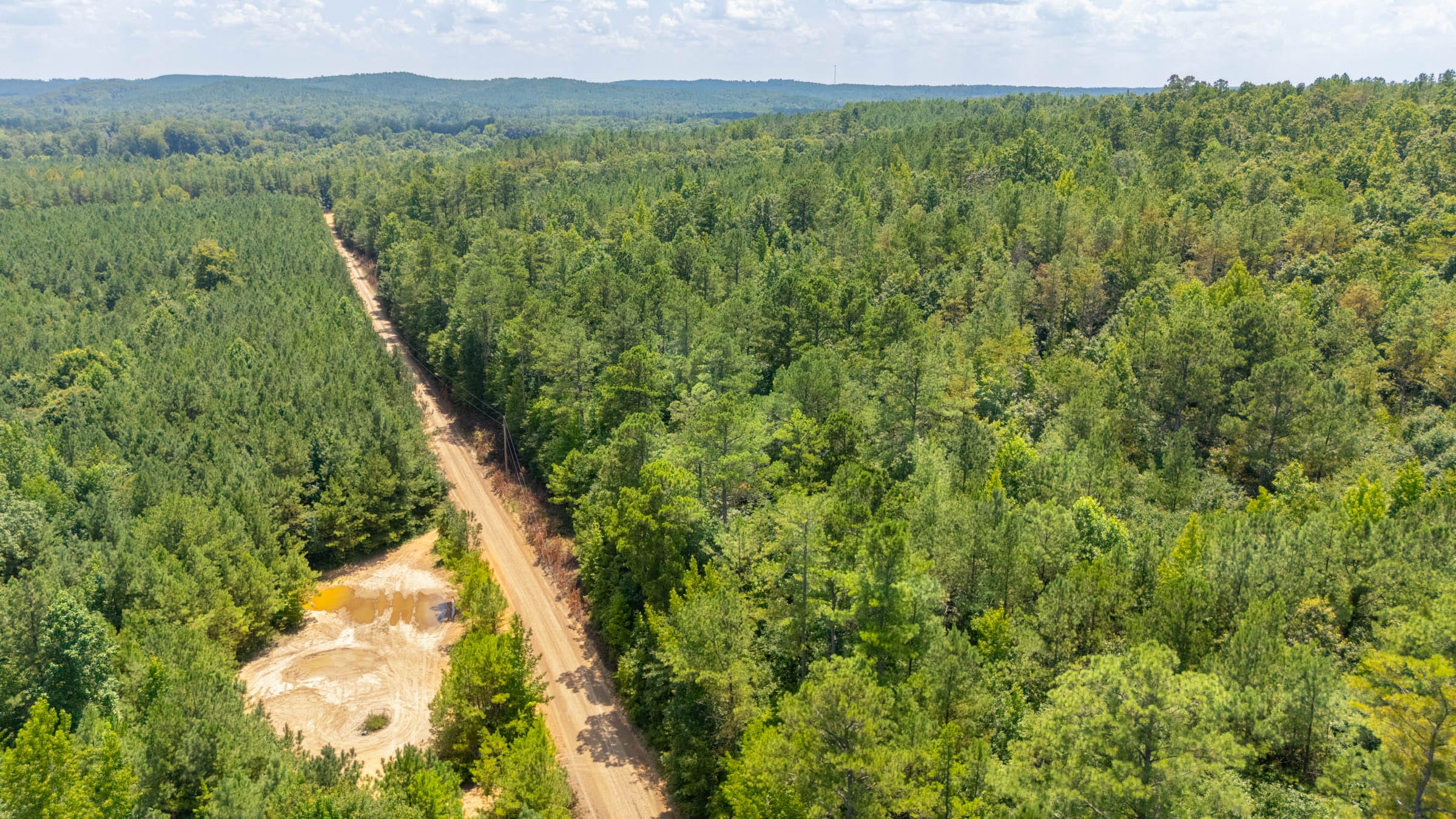 Olive Hill Tract 9 photo 2