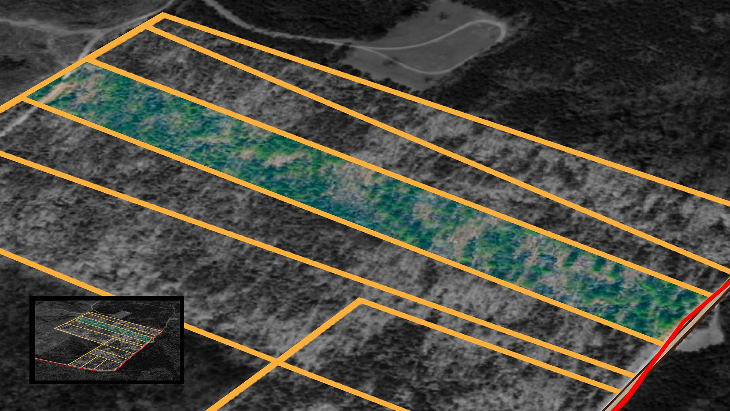 Olive Hill Tract 9 photo 1