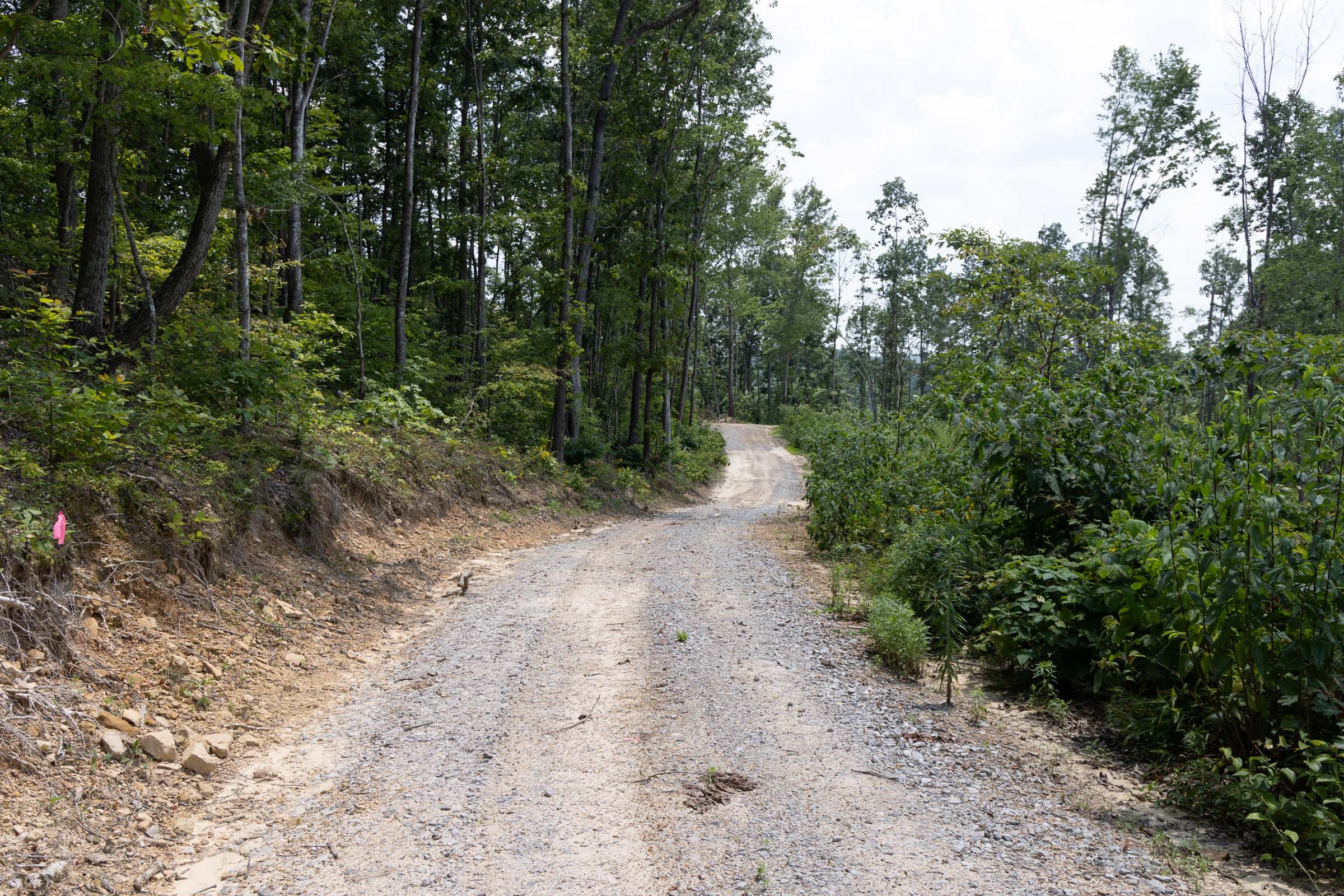 Creek Hollow Phase II Tract 75 photo 1