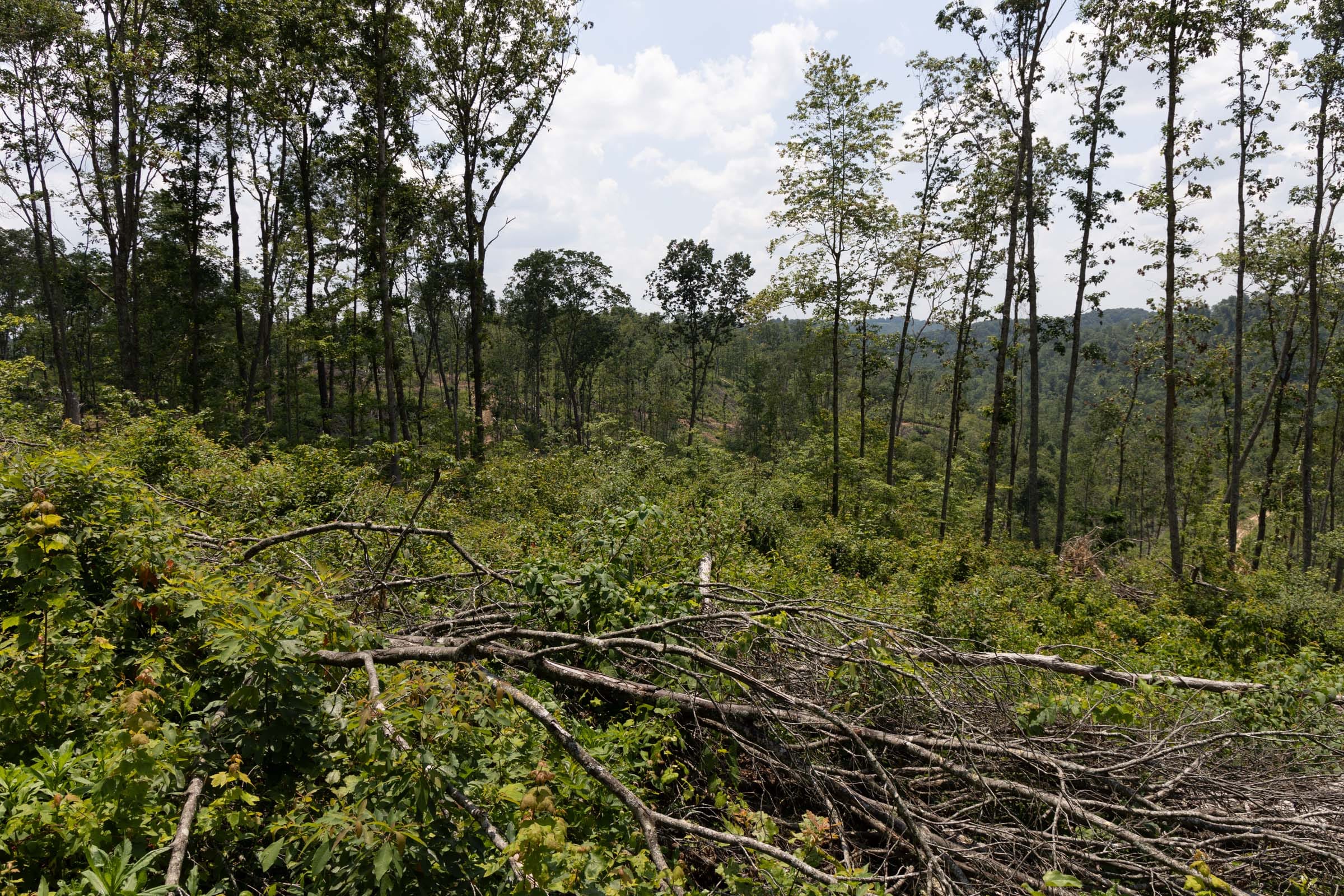Creek Hollow Phase II Tract 75 photo 11