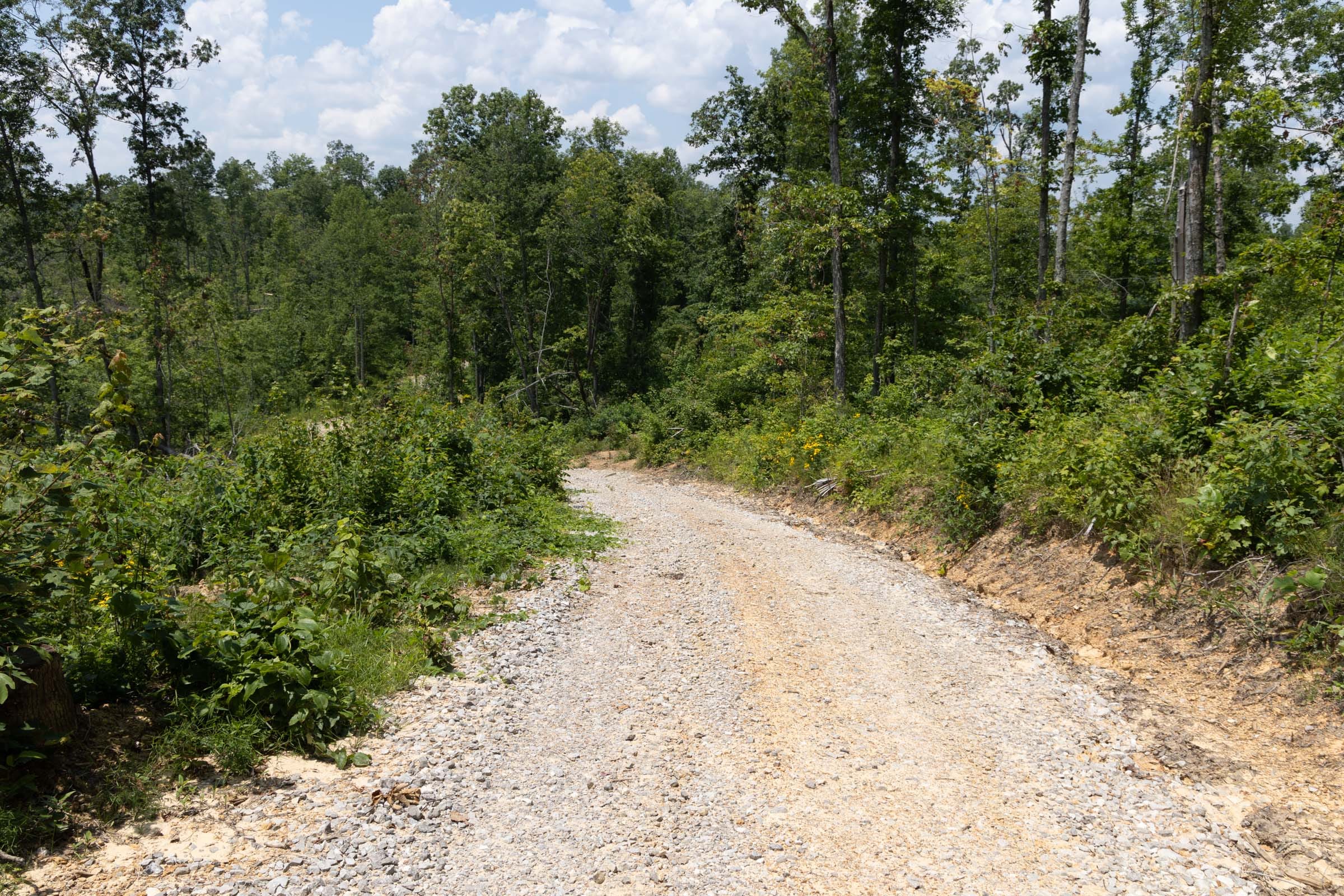 Creek Hollow Phase II Tract 75 photo 2