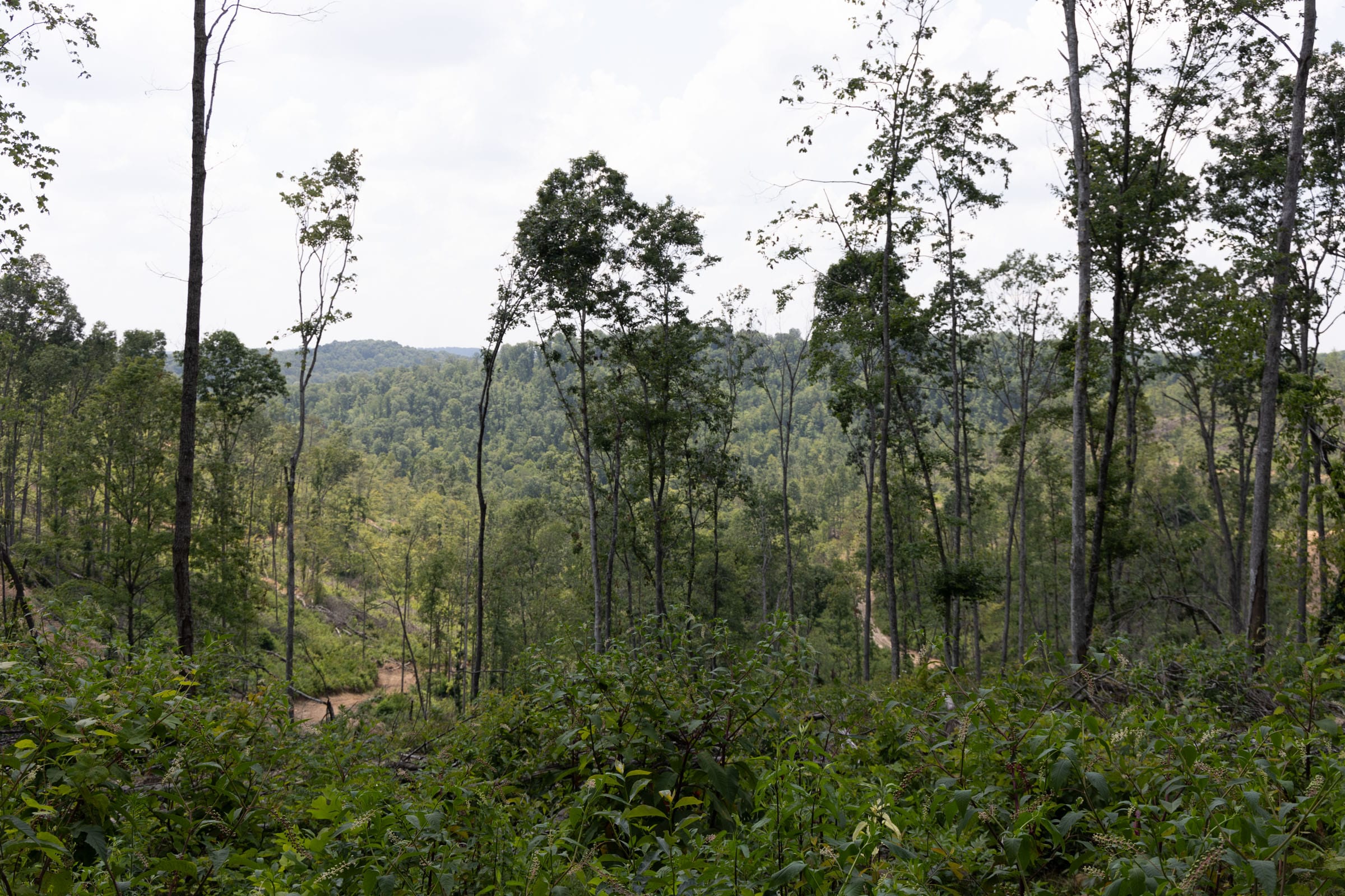Creek Hollow Phase II Tract 75 photo 10