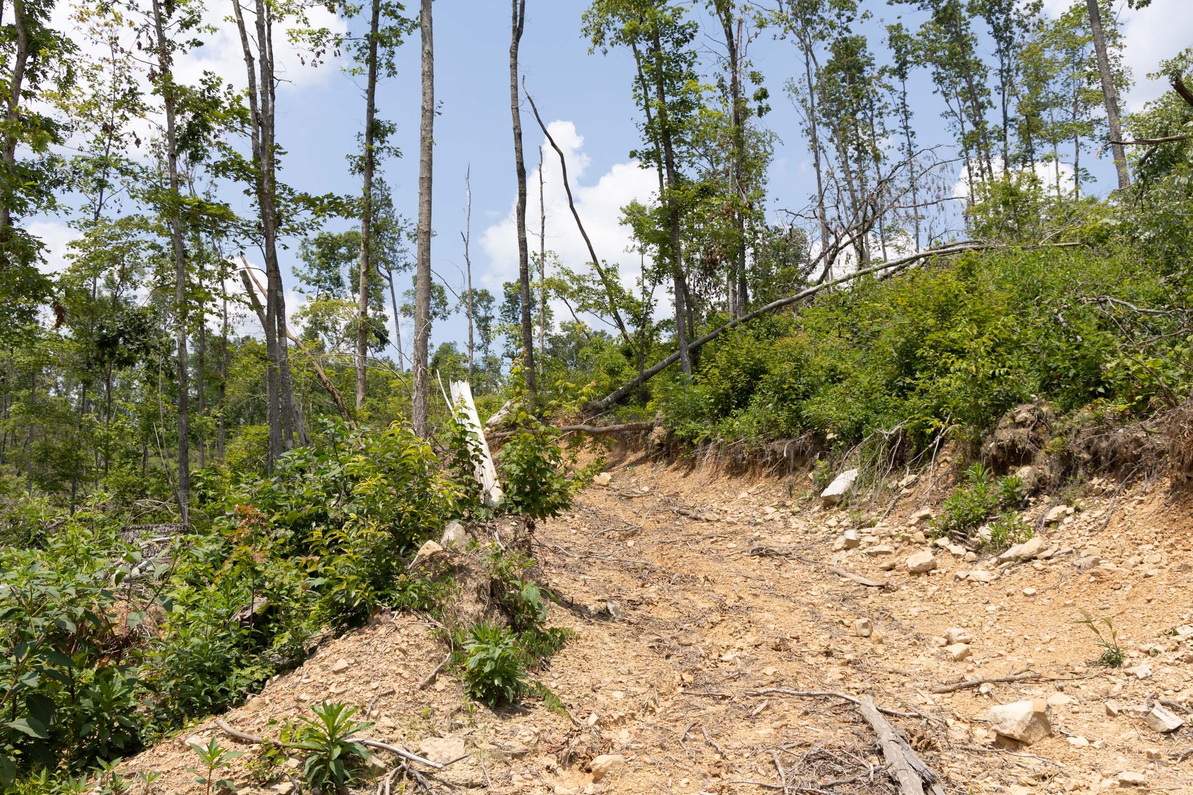 Creek Hollow Phase II Tract 75 photo 9
