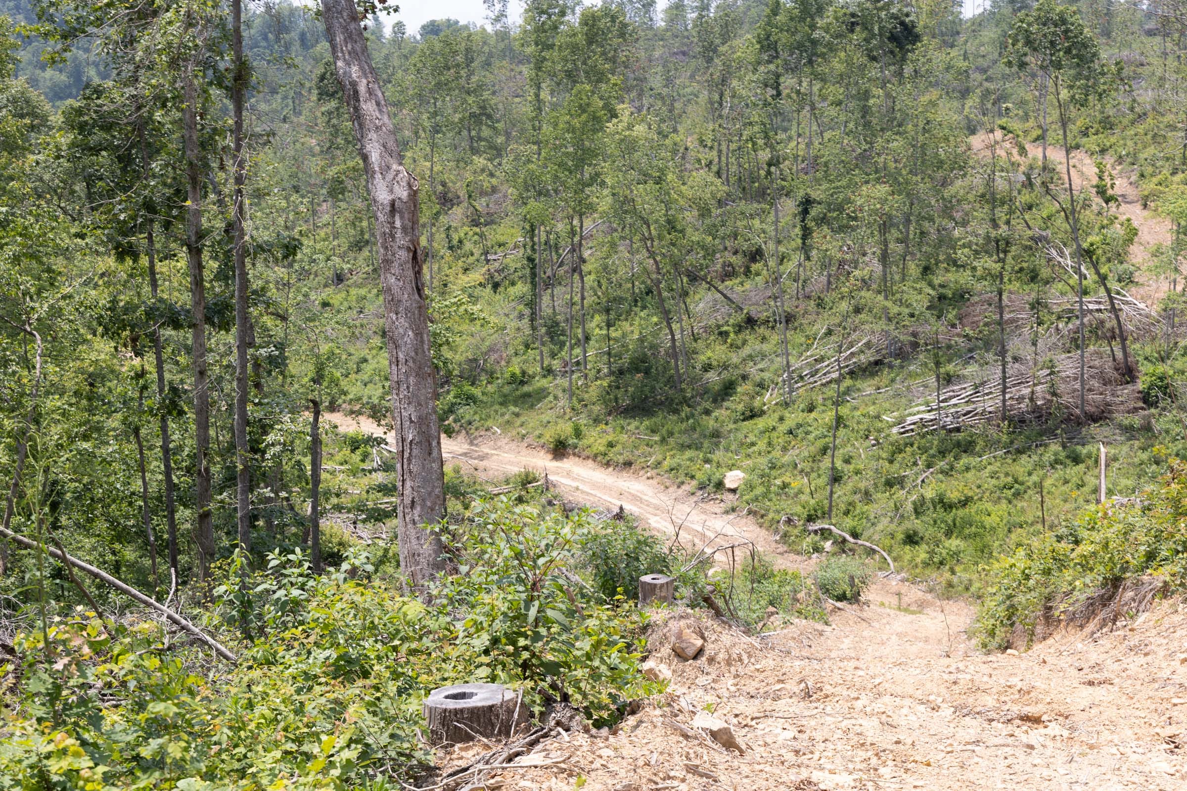 Creek Hollow Phase II Tract 75 photo 8