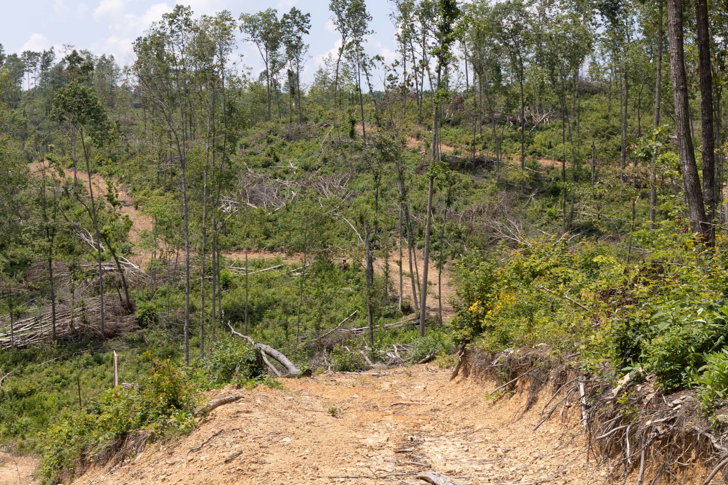 Creek Hollow Phase II Tract 75 photo 7