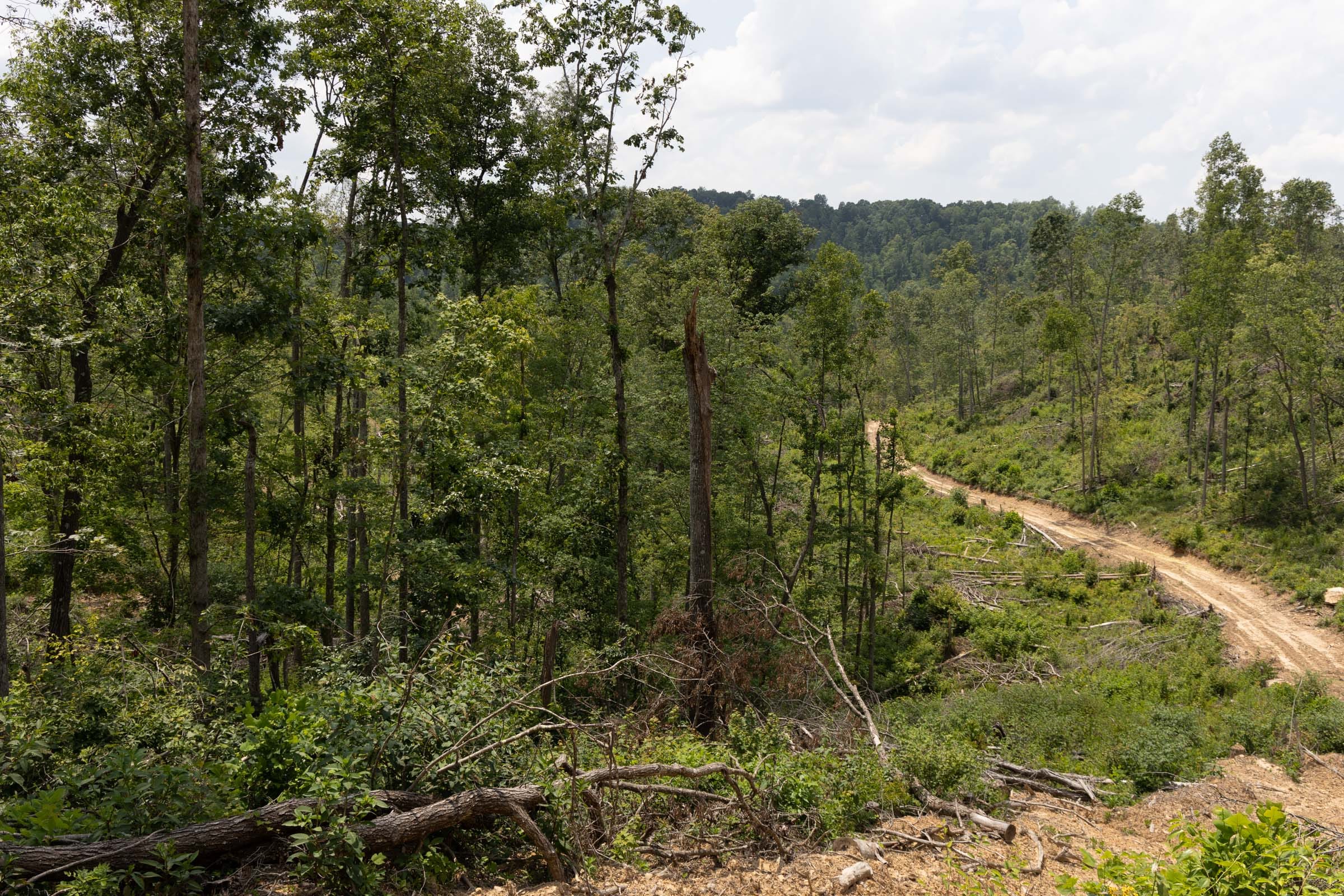 Creek Hollow Phase II Tract 75 photo 4