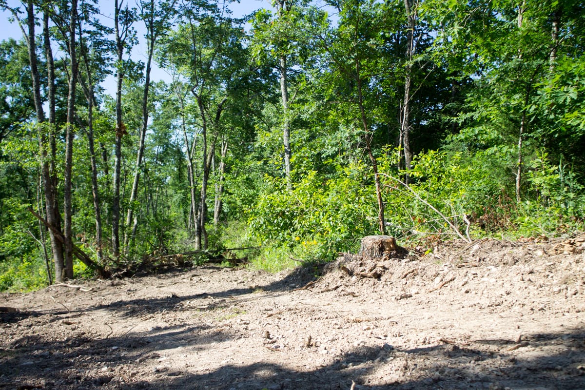 Timber Crossing Tract 4 photo 7