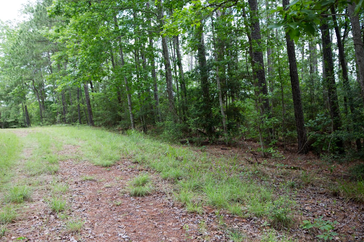 Rayburn Country Tract 289 photo 2
