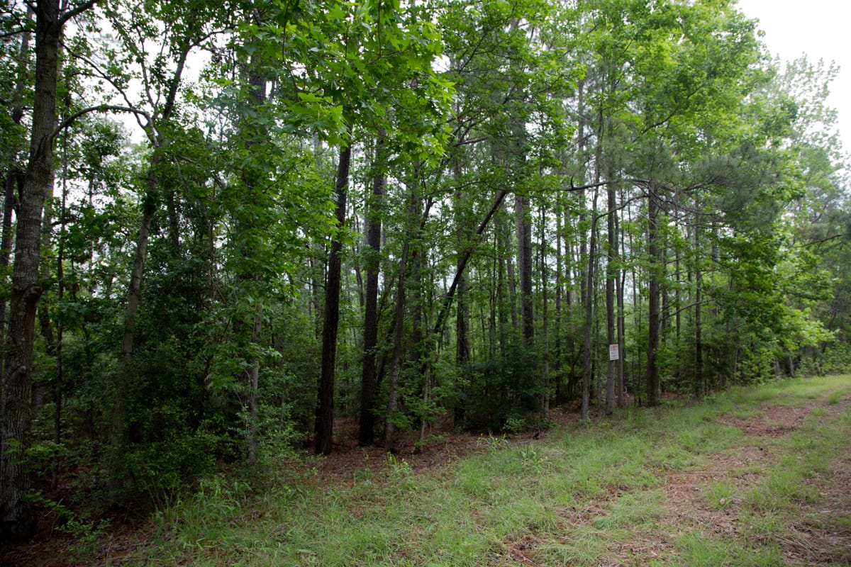 Rayburn Country Tract 289 photo 13