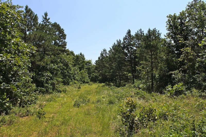 Green Mountain Ranch Tract 35 photo 4