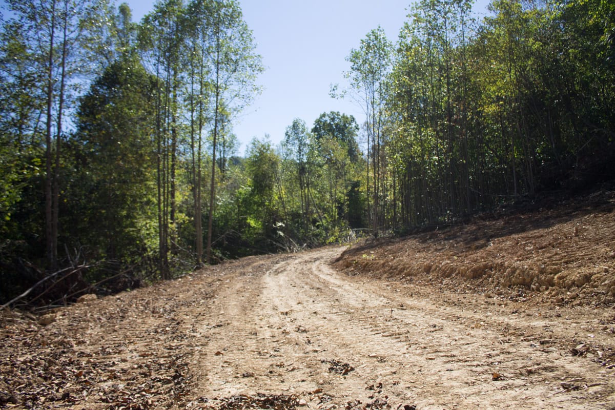 Black Oak Ranch Tract 4 photo 1