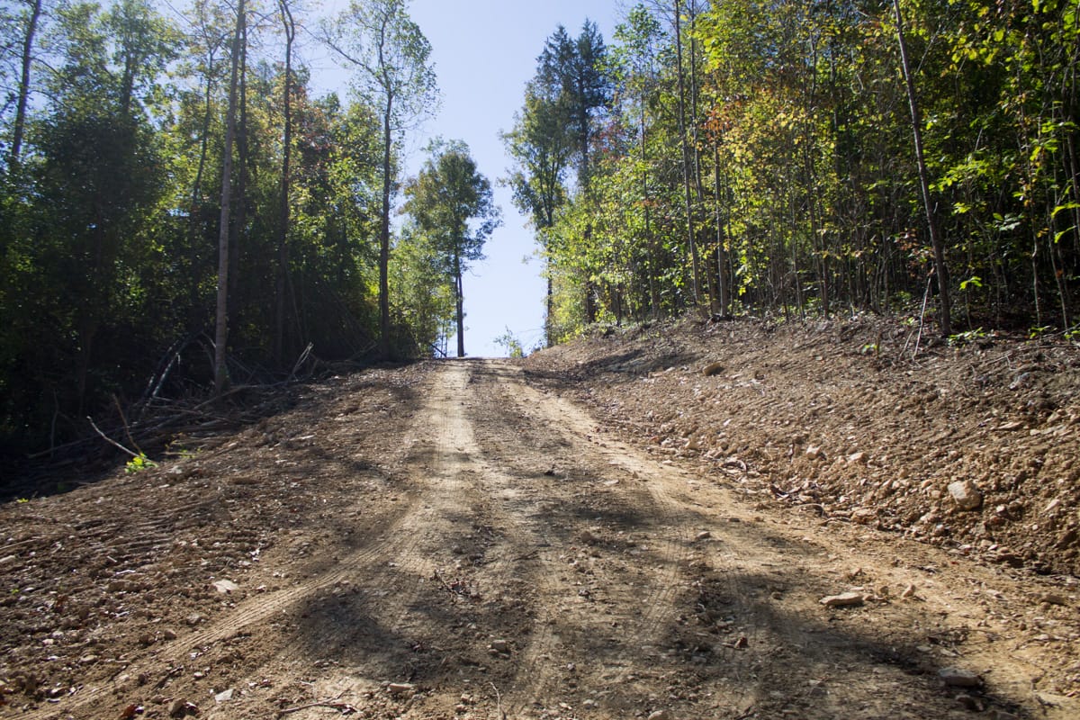 Black Oak Ranch Tract 4 photo 4