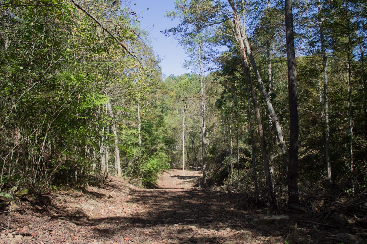 Black Oak Ranch Tract 4 photo 7