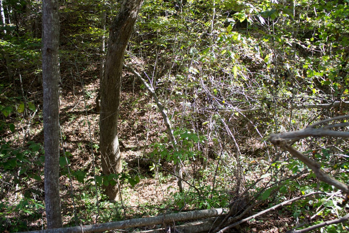 Black Oak Ranch Tract 4 photo 5