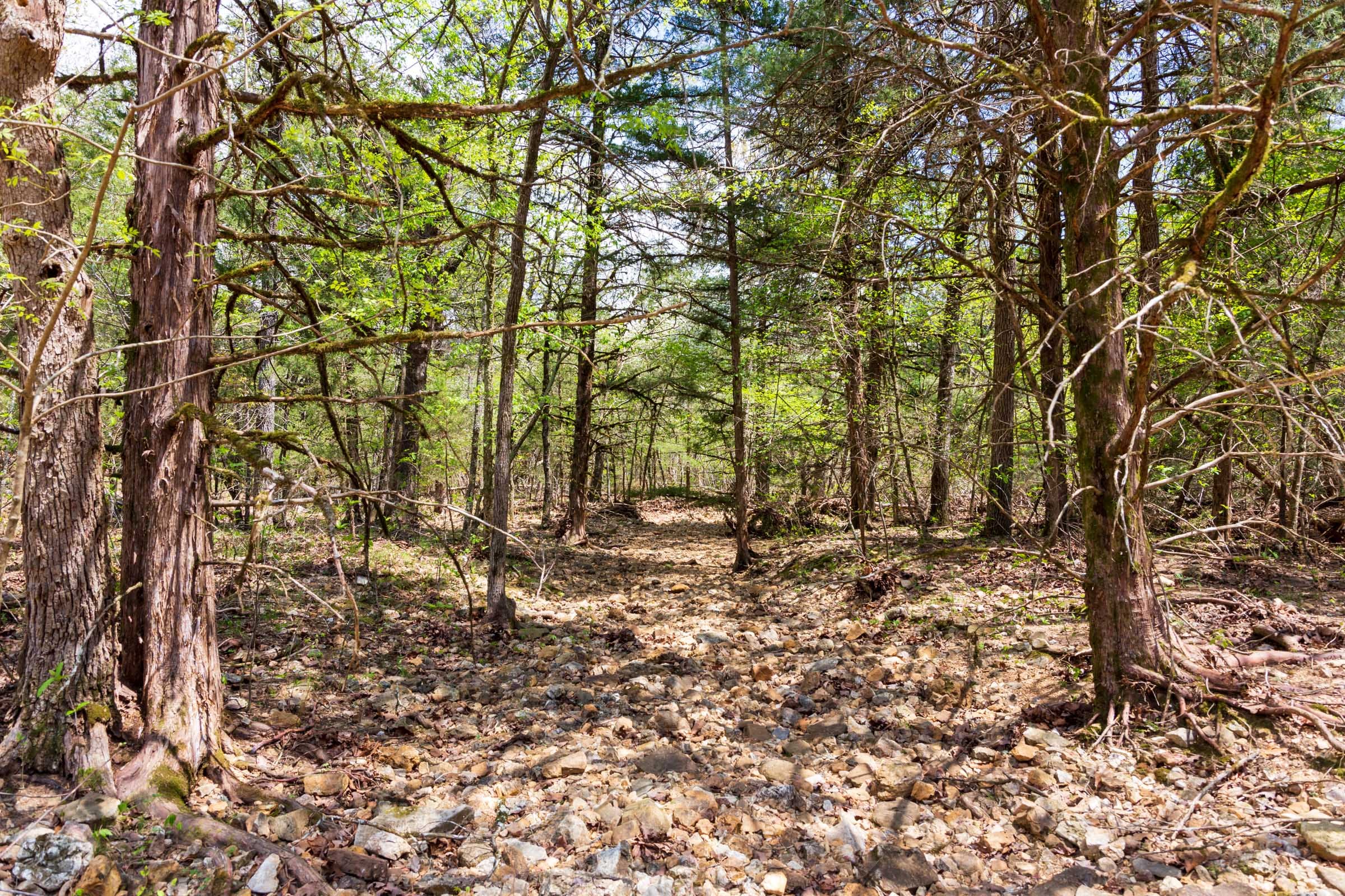 Autumnwood Tract 18 photo 9