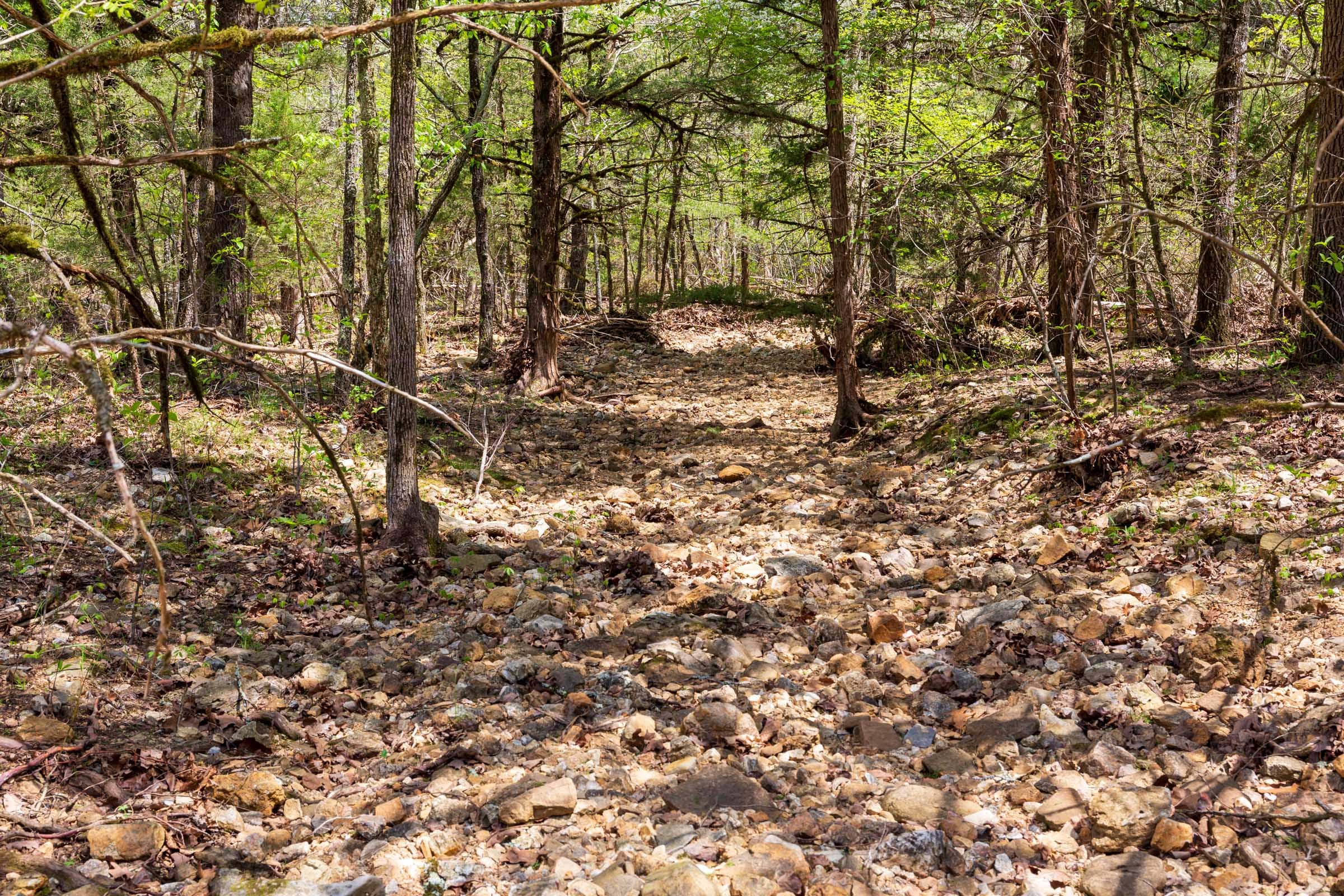 Autumnwood Tract 18 photo 10