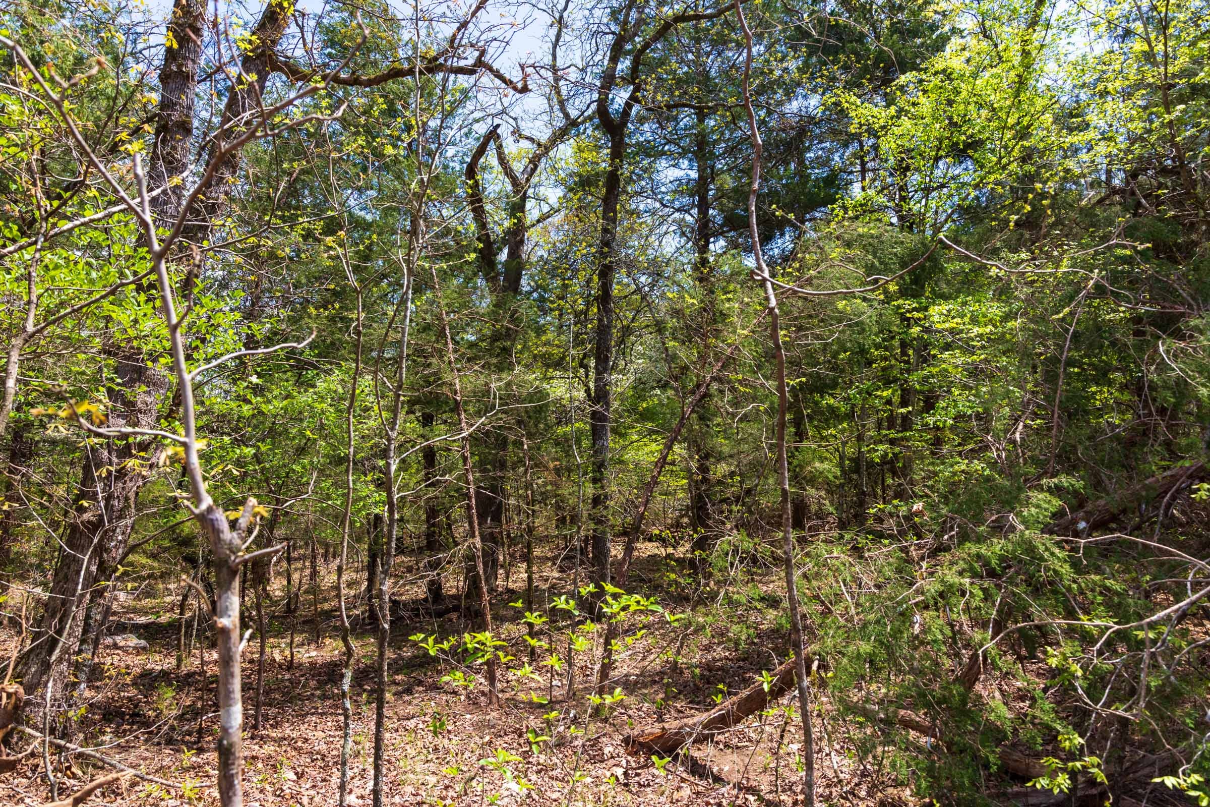 Autumnwood Tract 18 photo 12