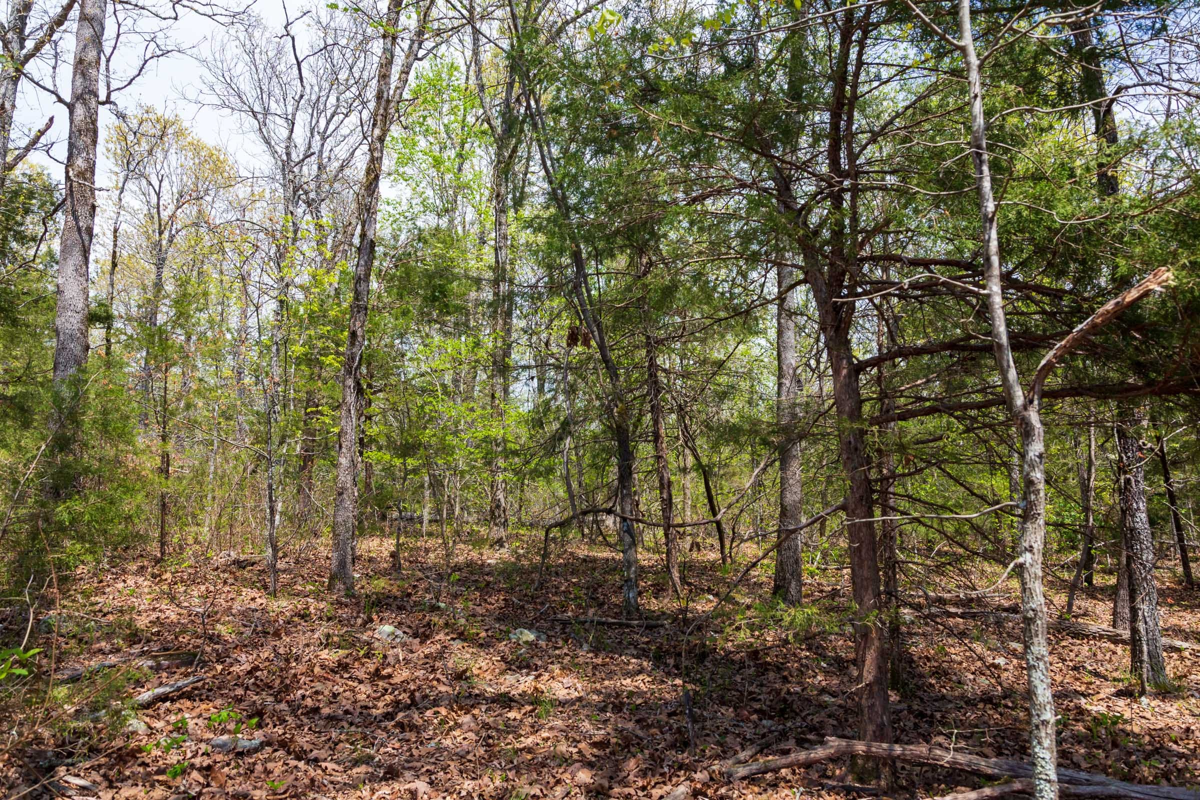 Autumnwood Tract 18 photo 14