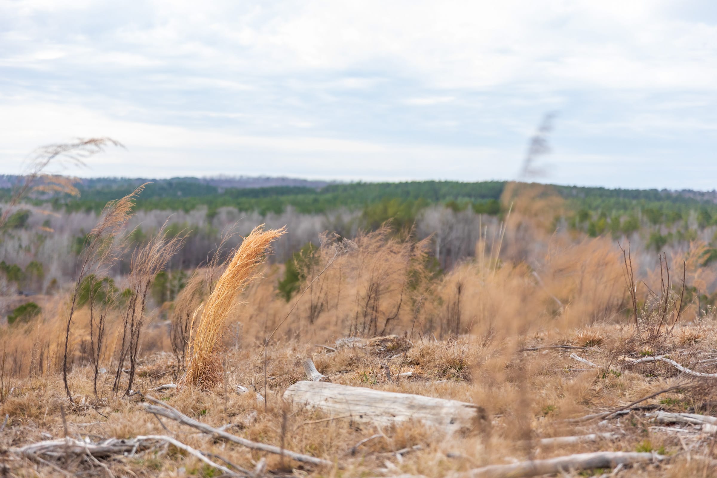 Fairview Hills Tract 4 photo 8