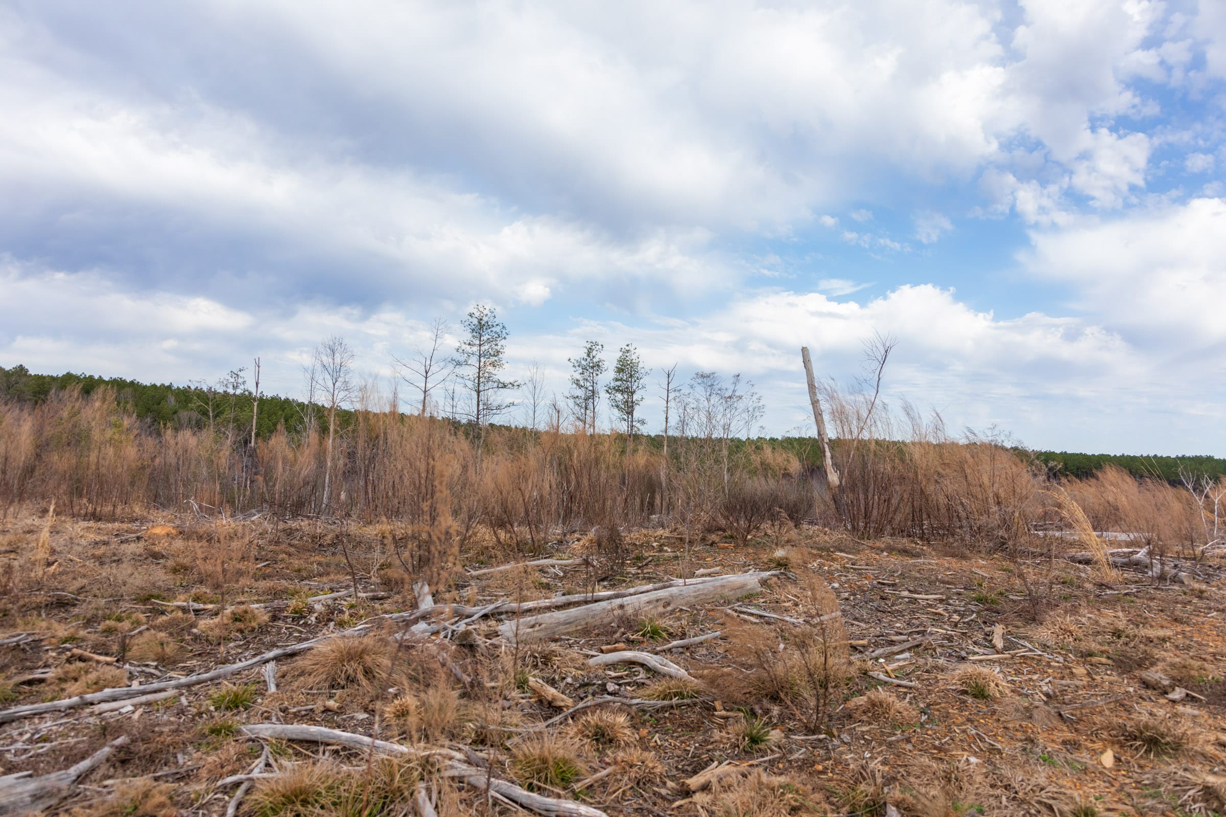 Fairview Hills Tract 4 photo 9