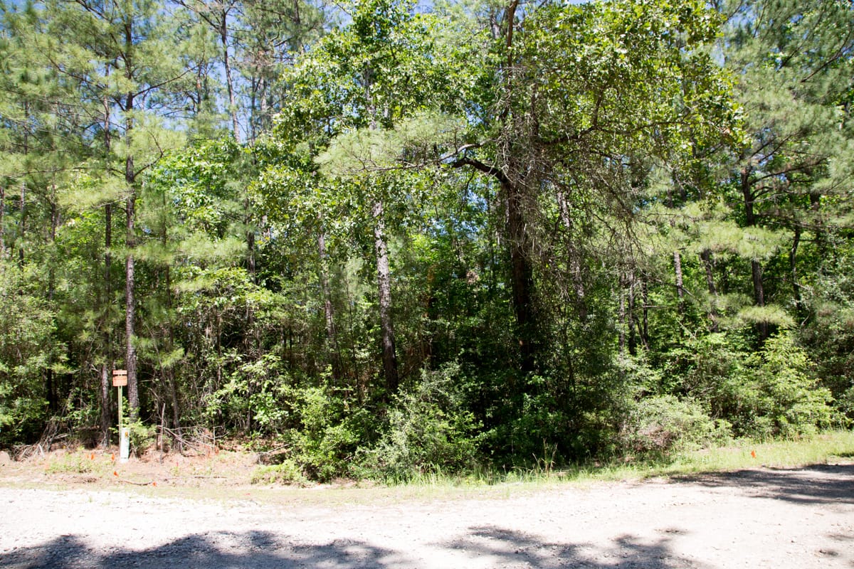 Rayburn Country Tract 270 photo 2