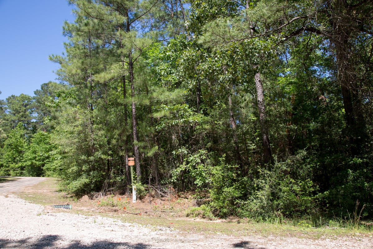 Rayburn Country Tract 270 photo 3