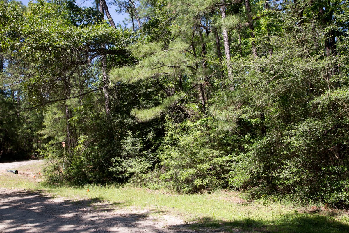 Rayburn Country Tract 270 photo 5