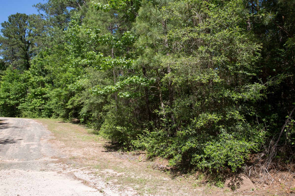Rayburn Country Tract 270 photo 9