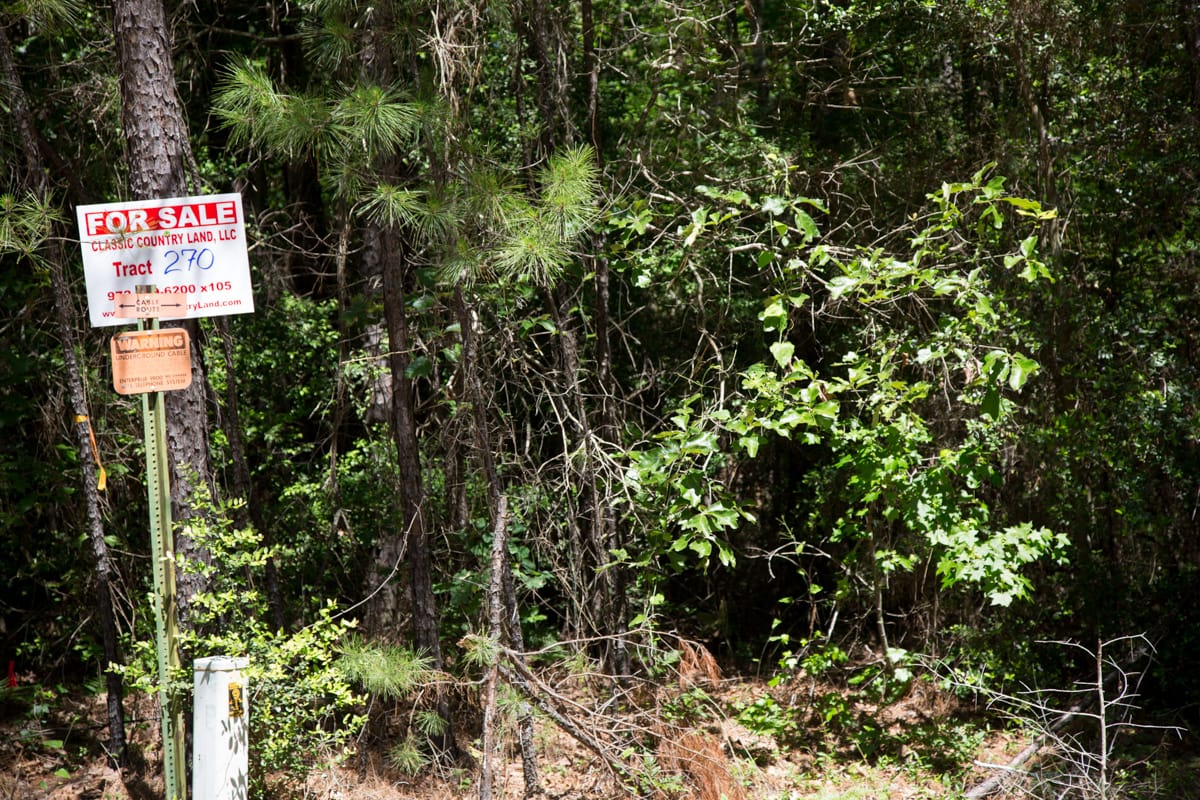 Rayburn Country Tract 270 photo 10