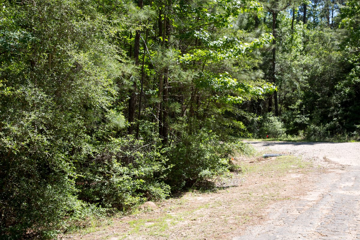 Rayburn Country Tract 270 photo 12
