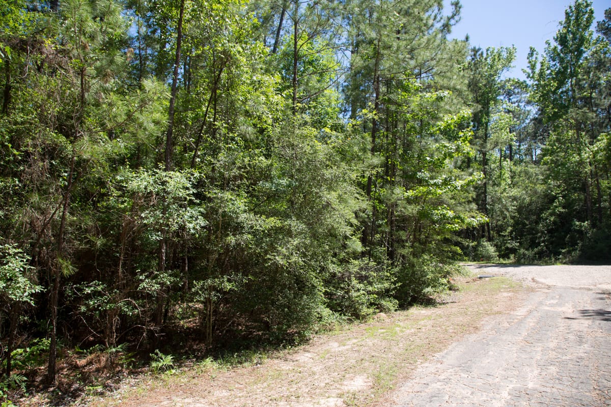 Rayburn Country Tract 270 photo 13