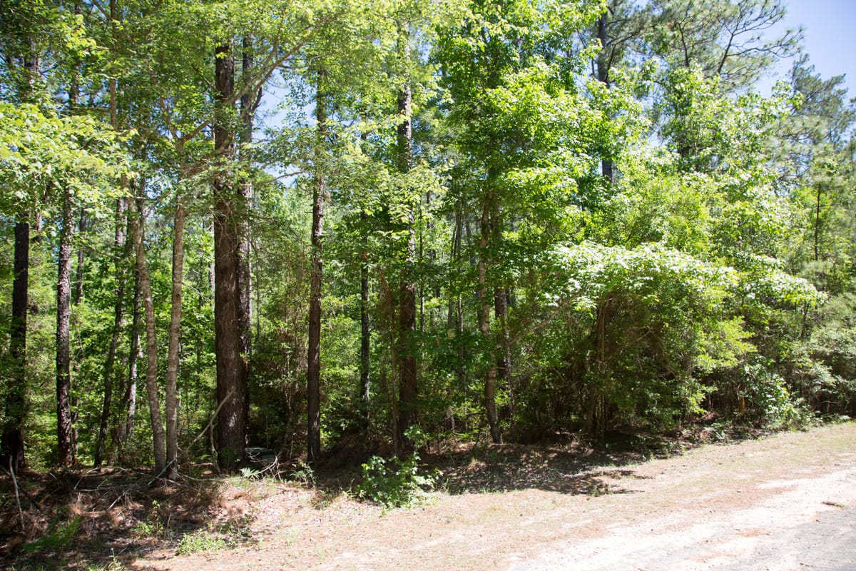 Rayburn Country Tract 270 photo 14