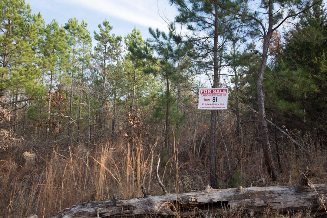 Stone Creek Phase III Tract 81 photo 1