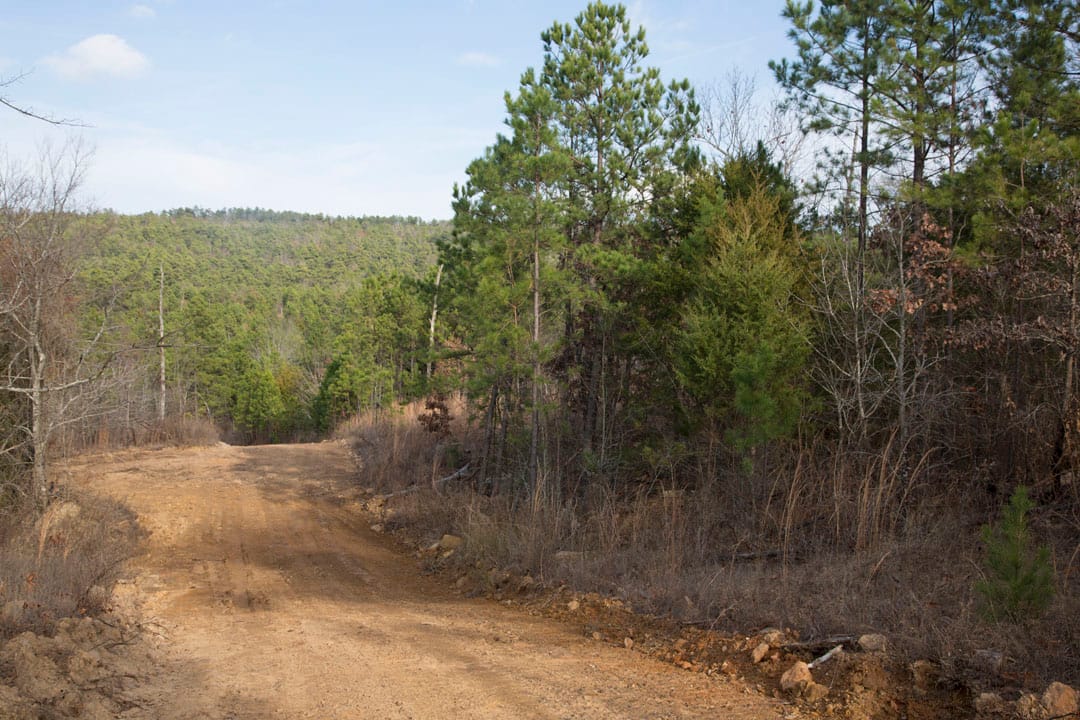 Stone Creek Phase III Tract 81 photo 2