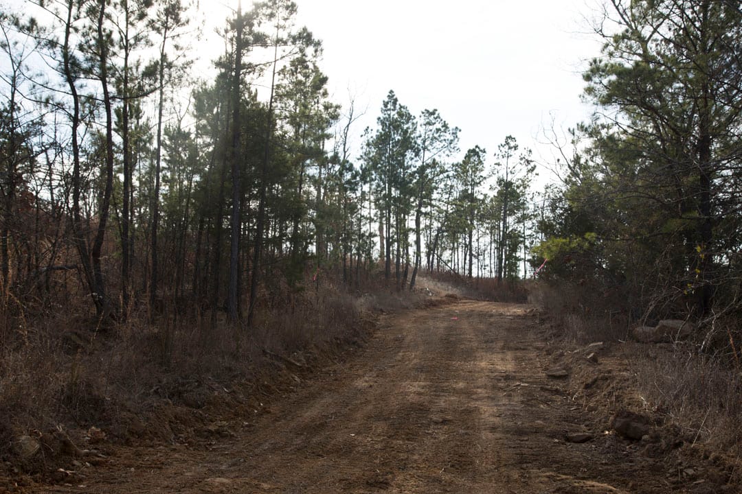 Stone Creek Phase III Tract 81 photo 3