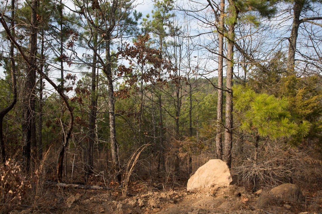 Stone Creek Phase III Tract 81 photo 5