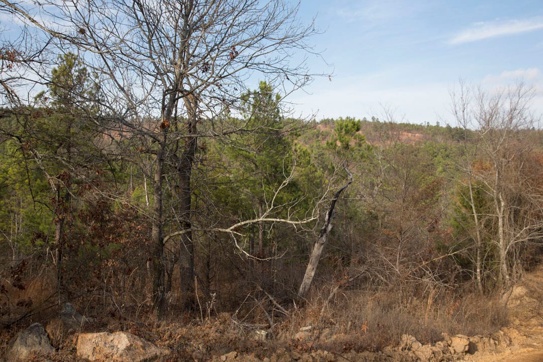 Stone Creek Phase III Tract 81 photo 6