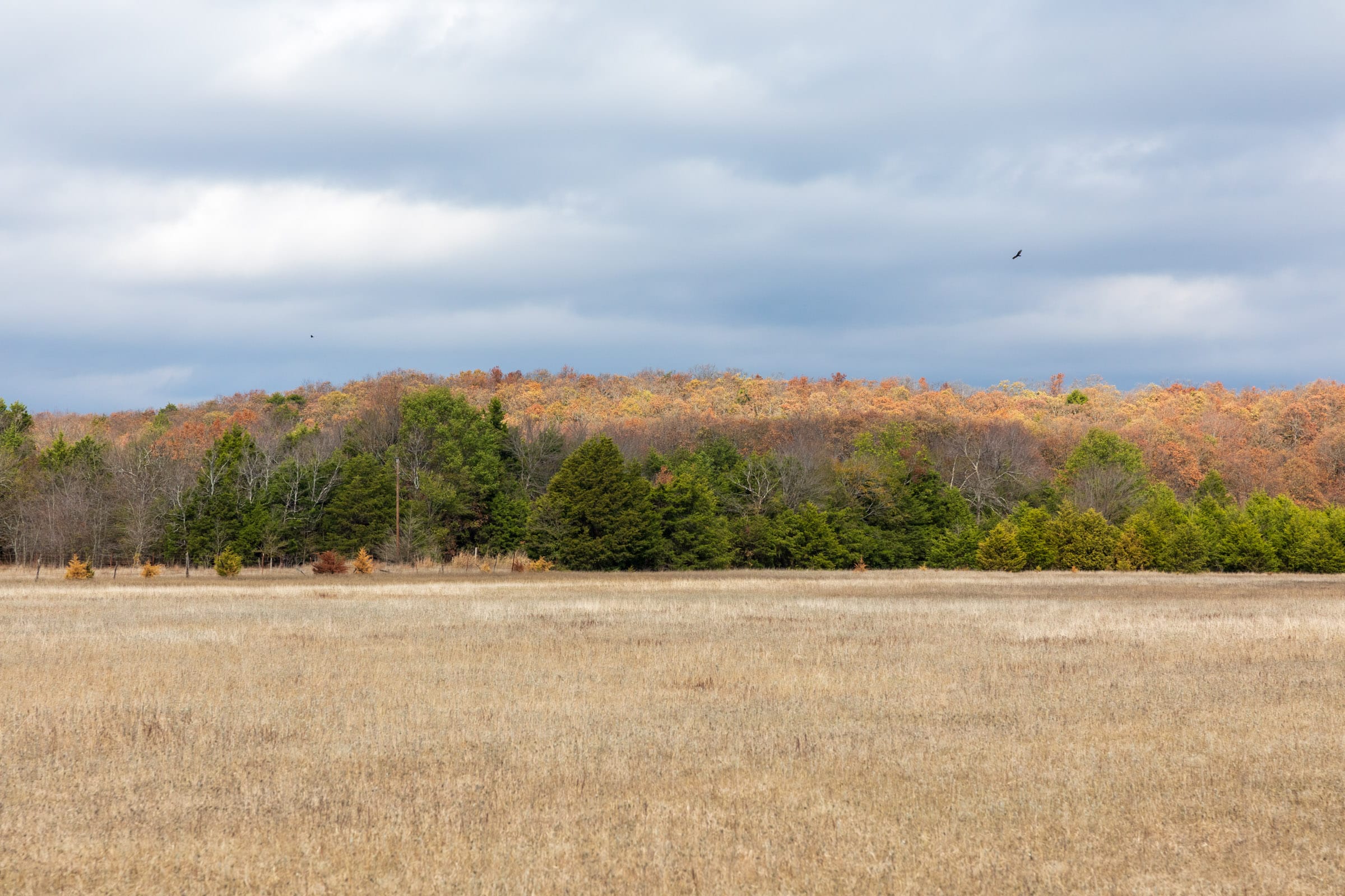 Crystal Springs Tract 5 photo 3
