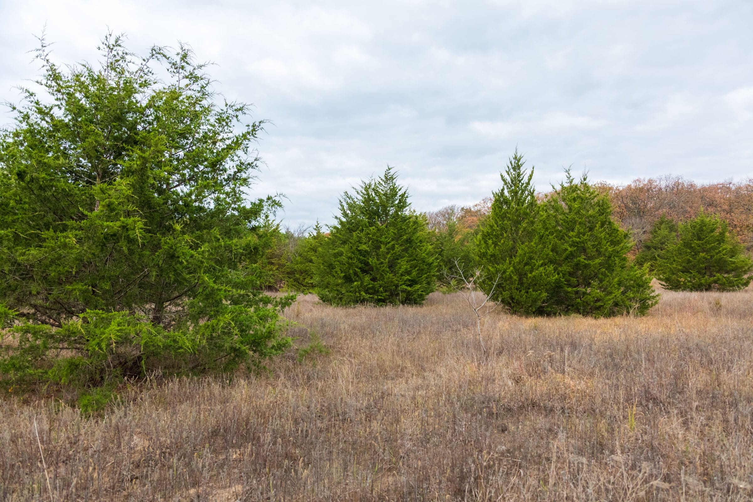 Crystal Springs Tract 5 photo 4