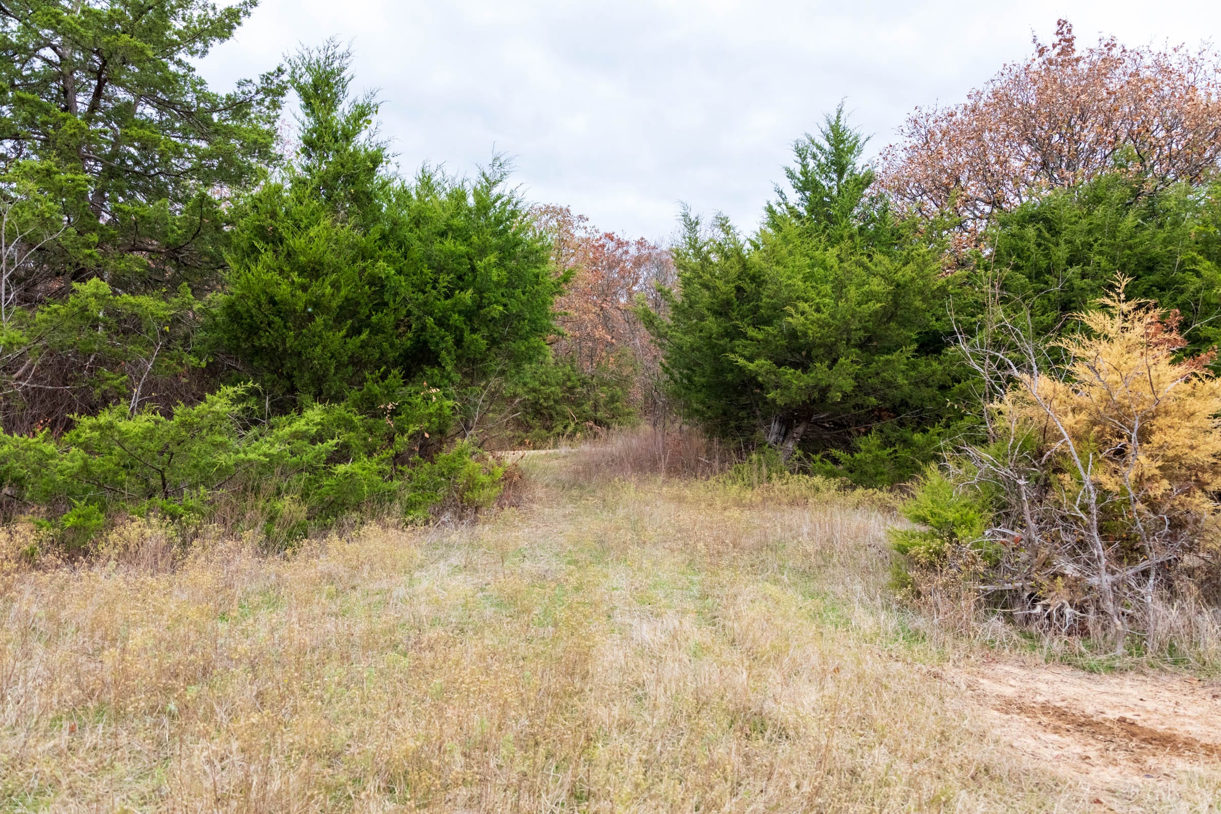 Crystal Springs Tract 5 photo 6