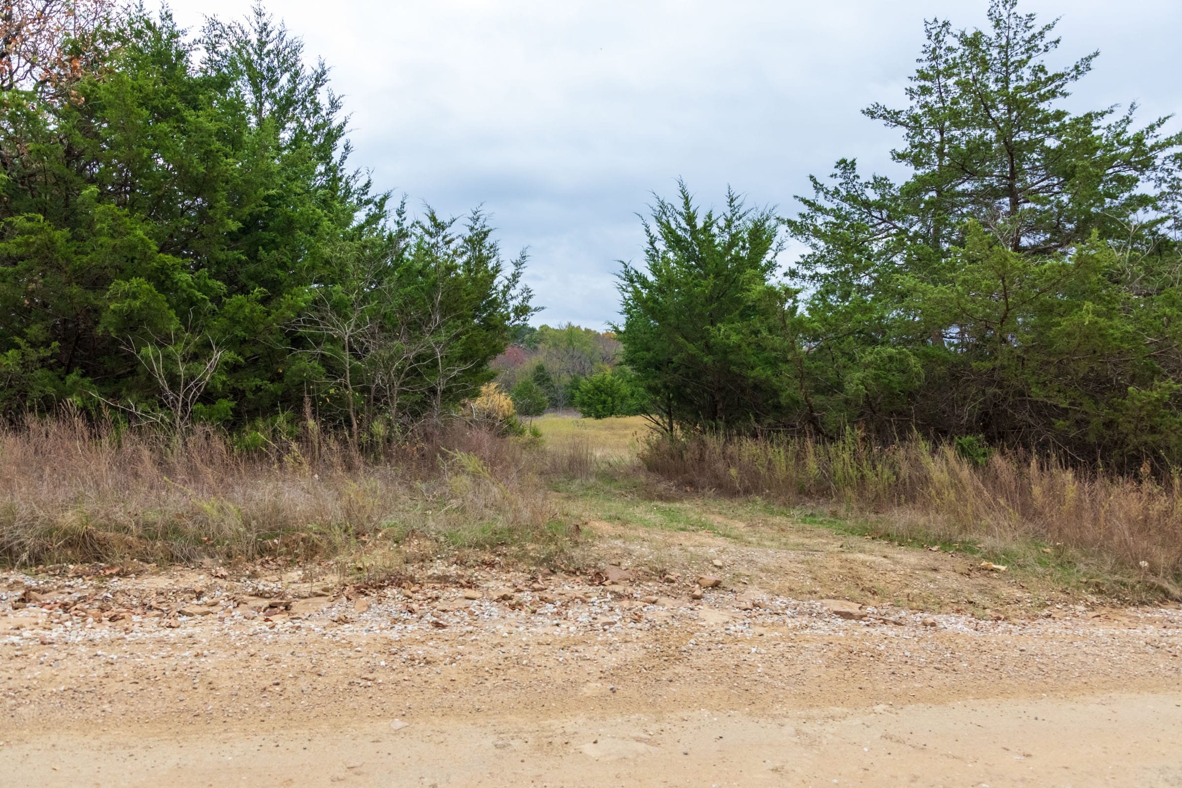 Crystal Springs Tract 5 photo 7