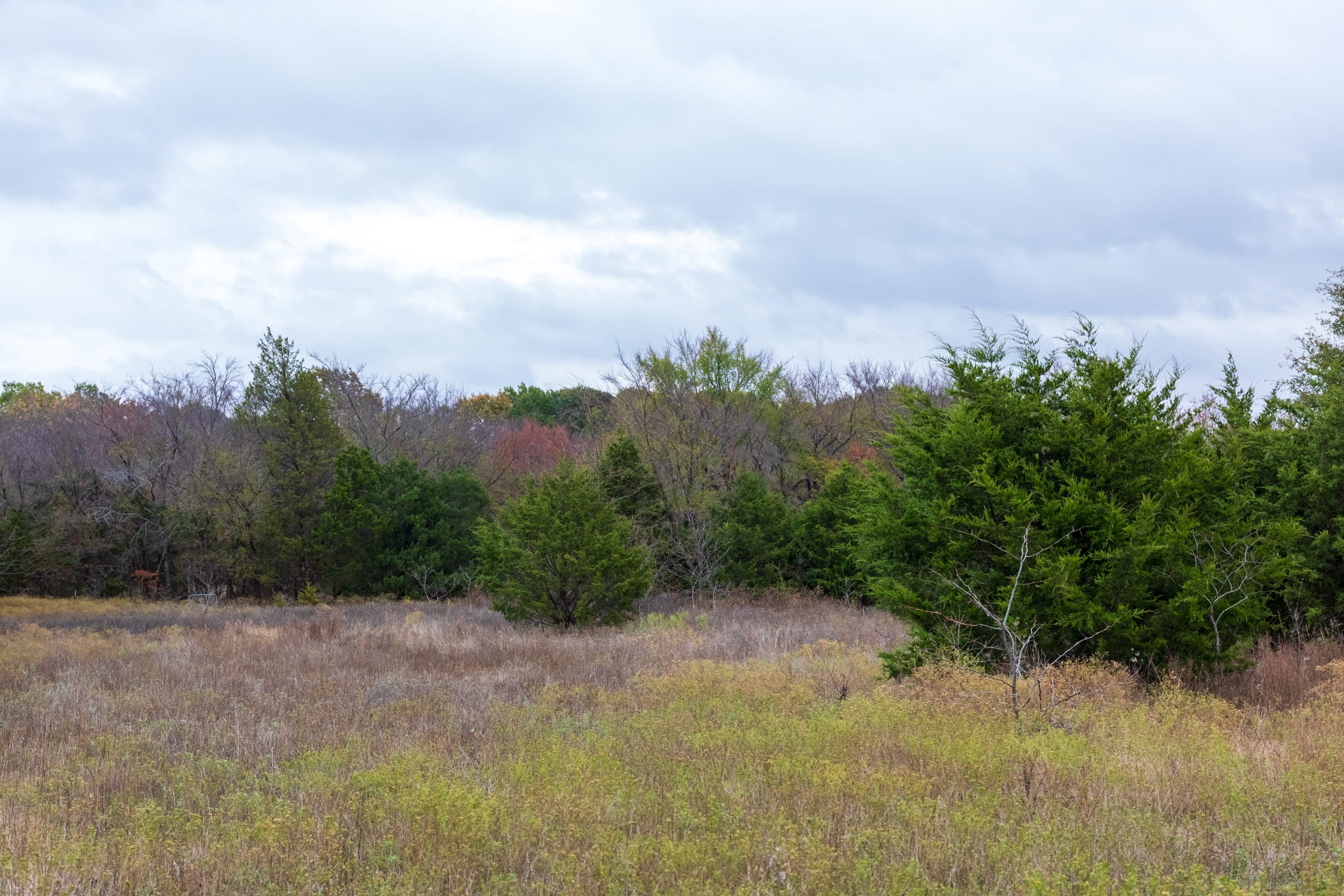 Crystal Springs Tract 5 photo 9