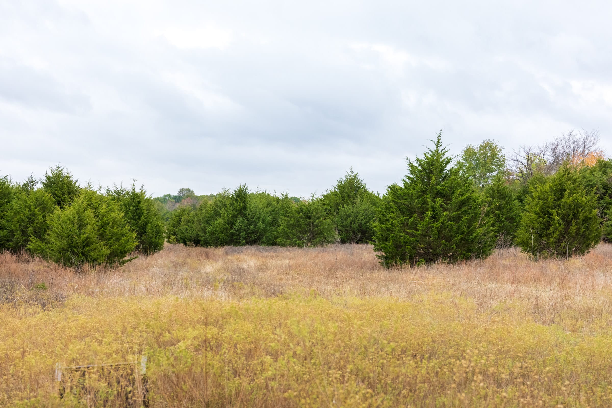 Crystal Springs Tract 5 photo 10