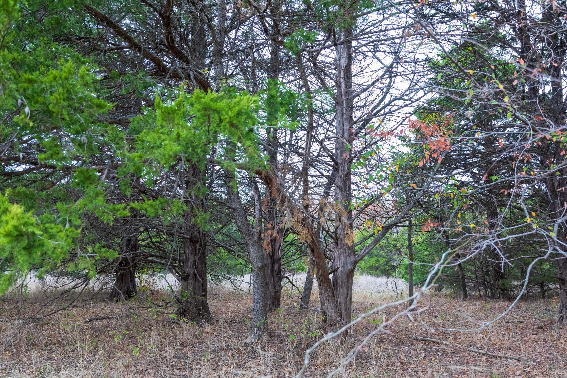 Crystal Springs Tract 5 photo 12
