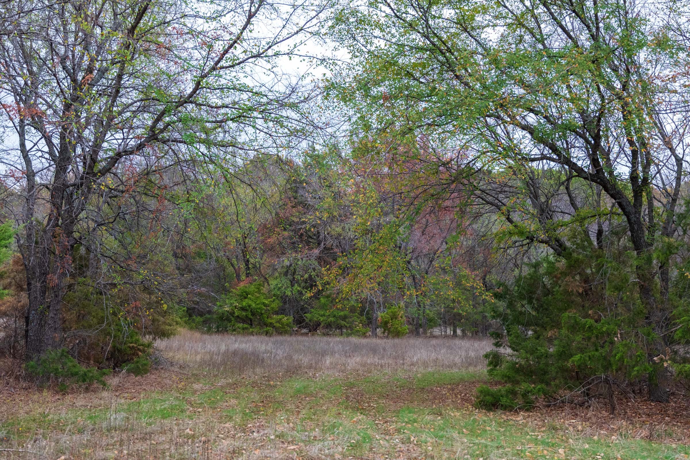 Crystal Springs Tract 5 photo 13