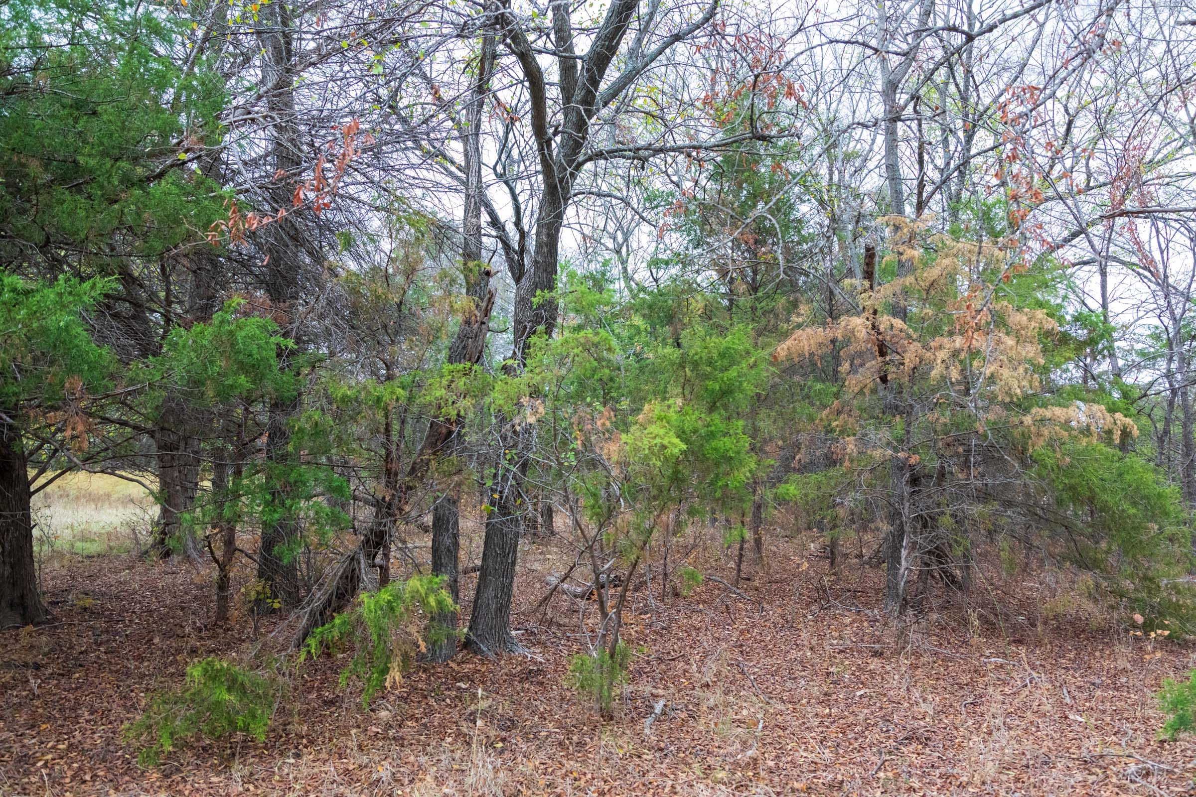 Crystal Springs Tract 5 photo 14
