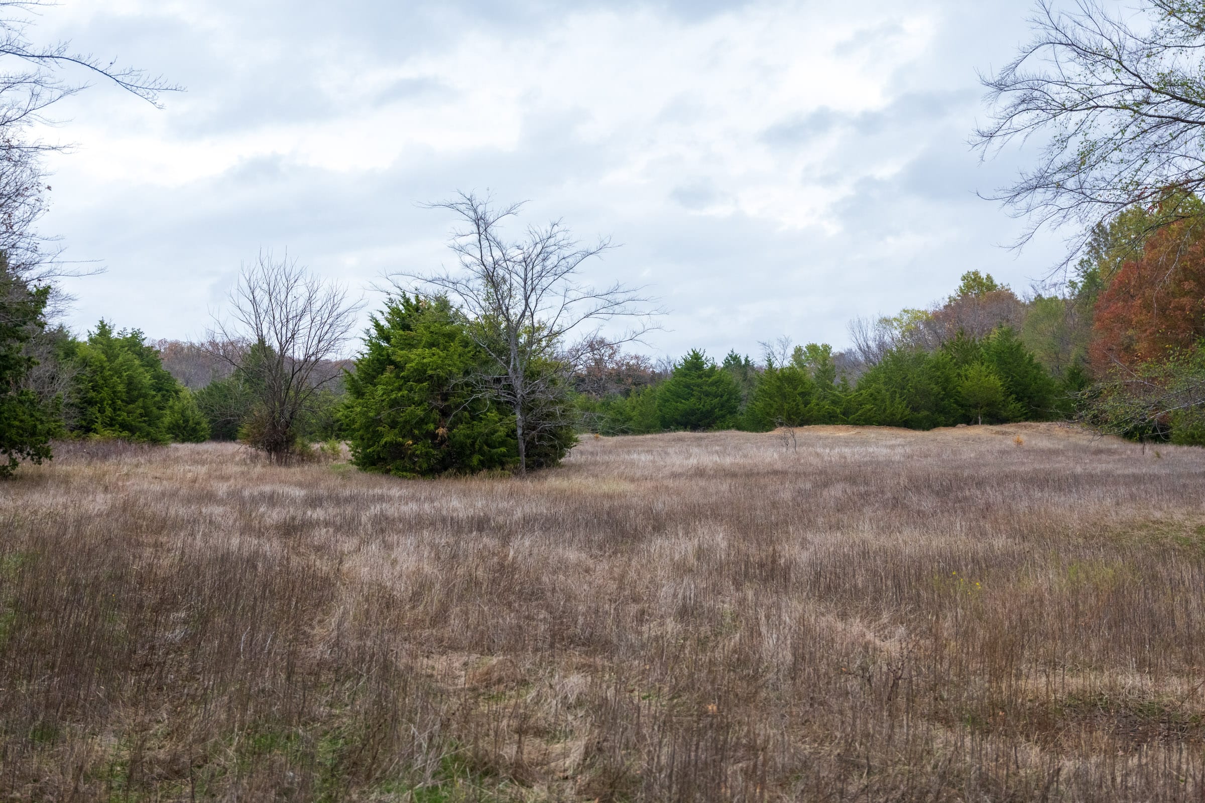Crystal Springs Tract 5 photo 15