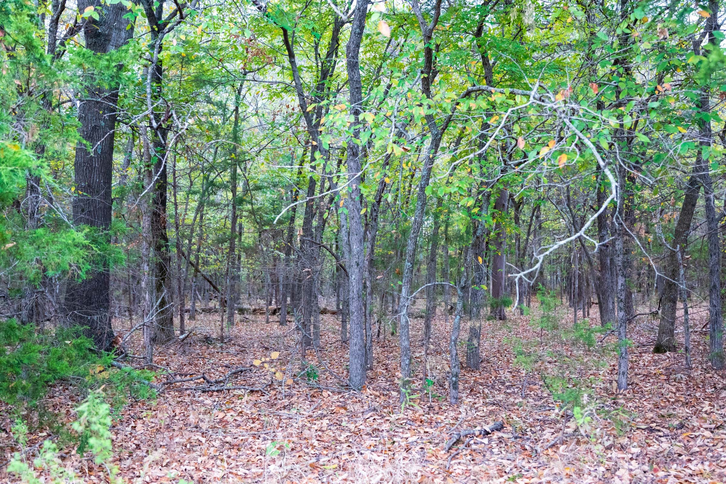 Crystal Springs Tract 5 photo 16
